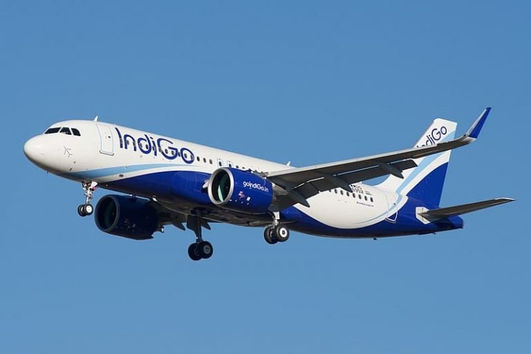Indigo Flight India and Europe