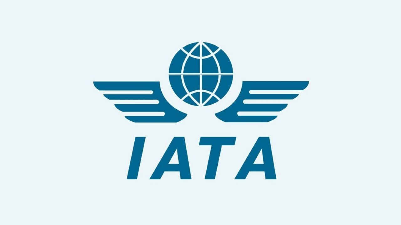 what is iata number in travel agency