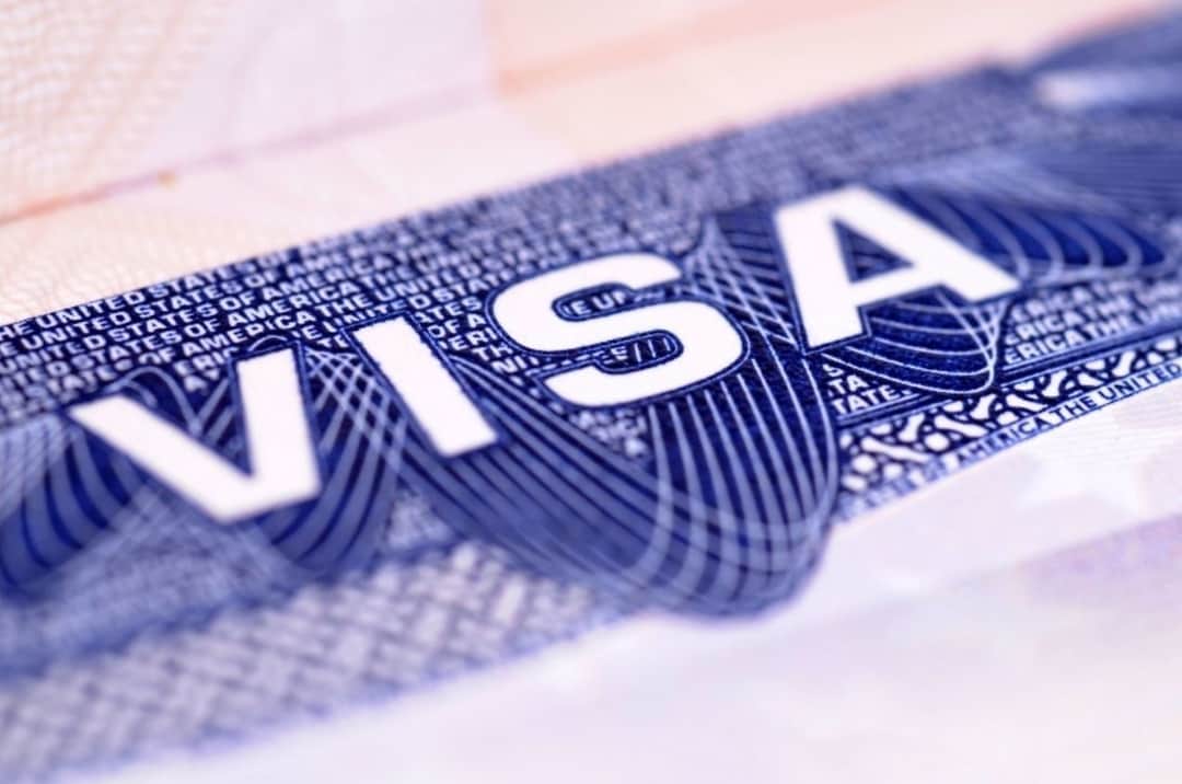 Govt suspends all visas