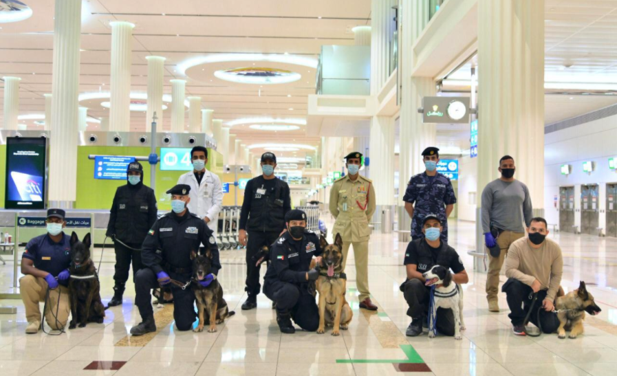 Dubai Airport Deploy Dogs Coronavirus
