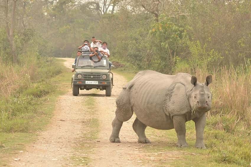 Kaziranga National Park