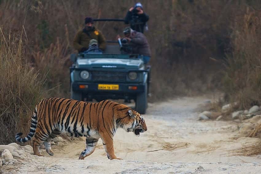 Jim Corbett