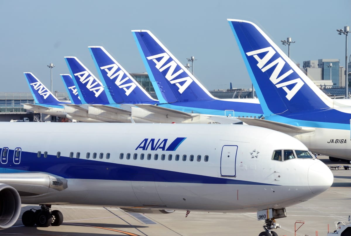 ANA Suspends Many Flights