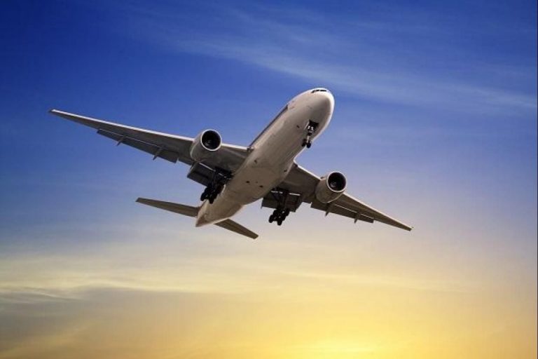 Domestic Flight Govt Cuts Seat Capacity
