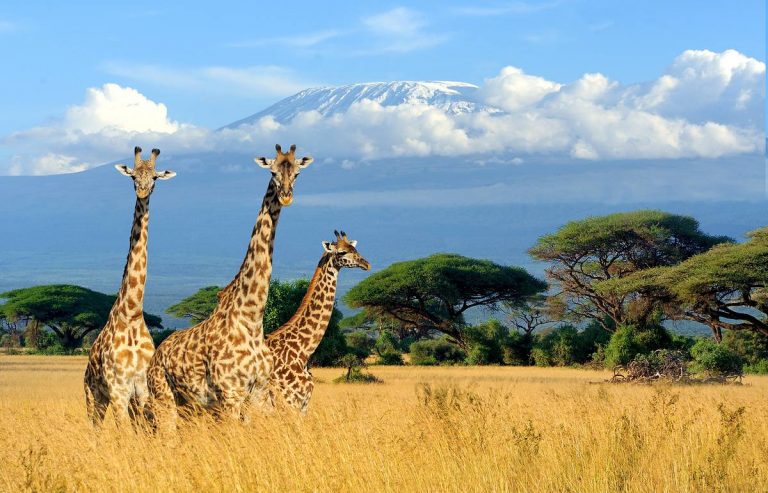Kenya Reopened For Indian Travelers