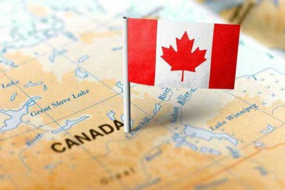 Security Screening Process for Canadian Immigration