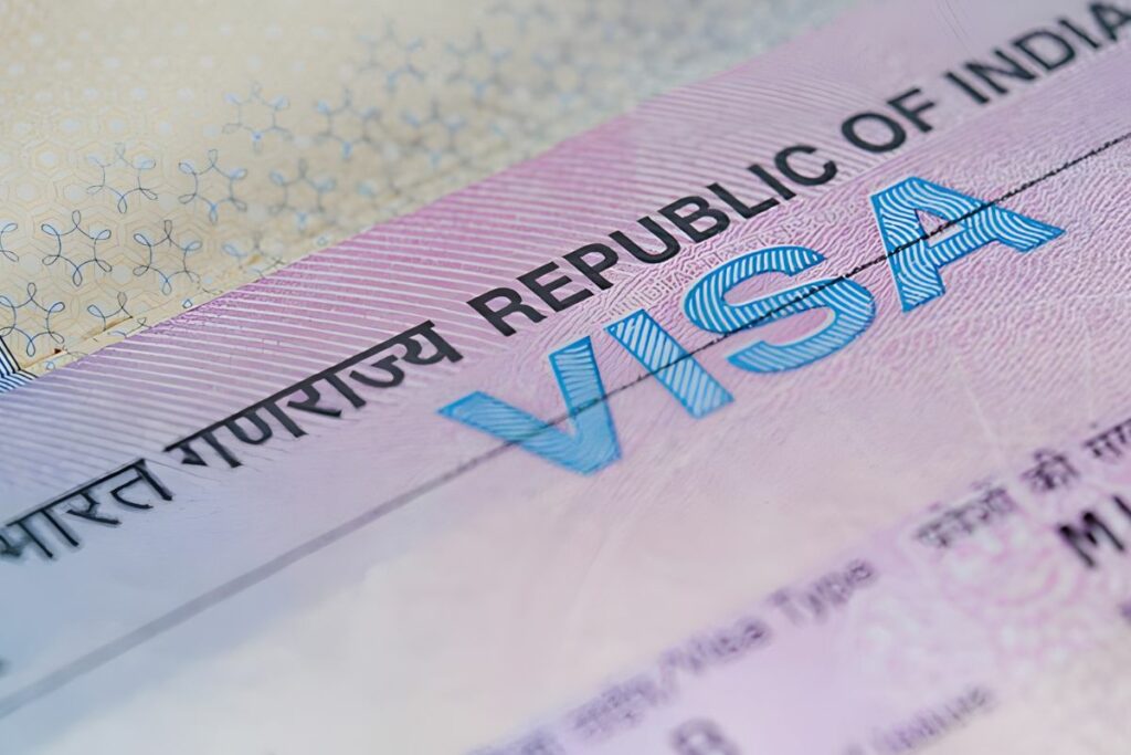Indian visa. Виза на Мальдивы. Электронная виза. Виза в Индию. Электронная виза Колумбии.