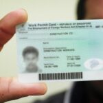 Singapore Salary Requirement Work Visa