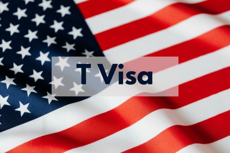 T Visa Rule